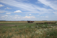 dsc04749