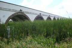 dsc04765