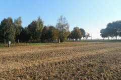 hu10-b-szalanta-eszterag