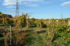 hu16-a-budapest-budafok