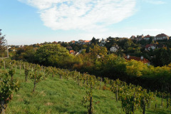 hu16-b-budapest-budafok