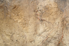 DSCF0289