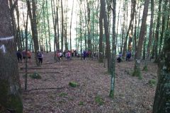 052-pdd2016_dudince-plastovce01