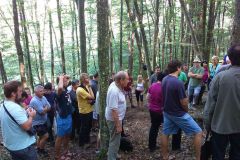 055-pdd2016_dudince-plastovce04