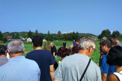 065-pdd2016_dudince-dvorniky03