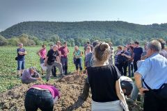 068-pdd2016_dudince-dvorniky06