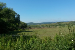 20140703_092652