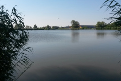 20140703_093650