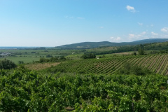 20140703_105316