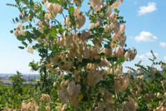 20140703_110703