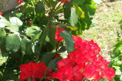 20140703_112231