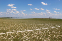 Hrabovsky-IMG_6851