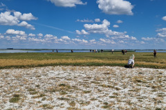 Kusy-20240617_151324