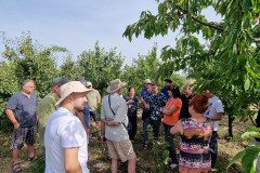 Kusy-20240621_084923
