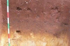 P1040361