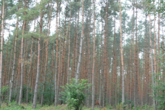 P1040362