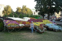 DSCN3467