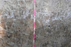 P1010801